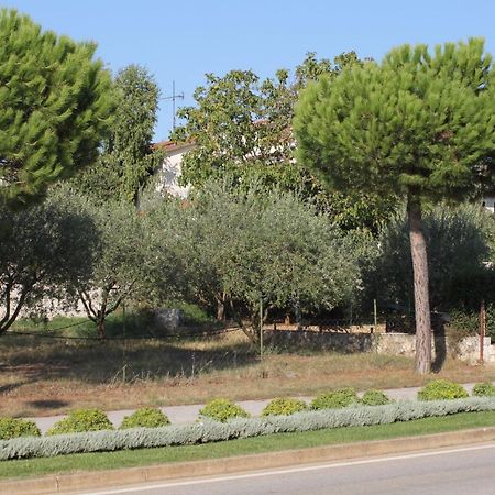 Apartments And Rooms With Parking Space Rovinj - 7170 エクステリア 写真